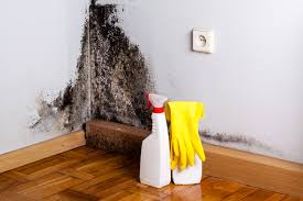 Best Dehumidification Services  in Oatfield, OR